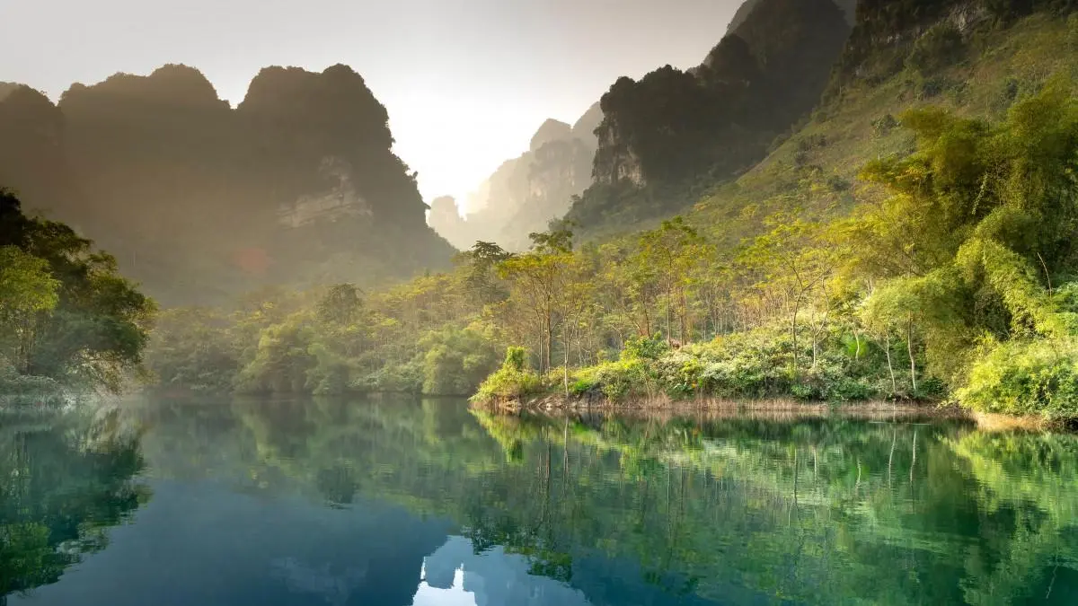 高效高性能绿色